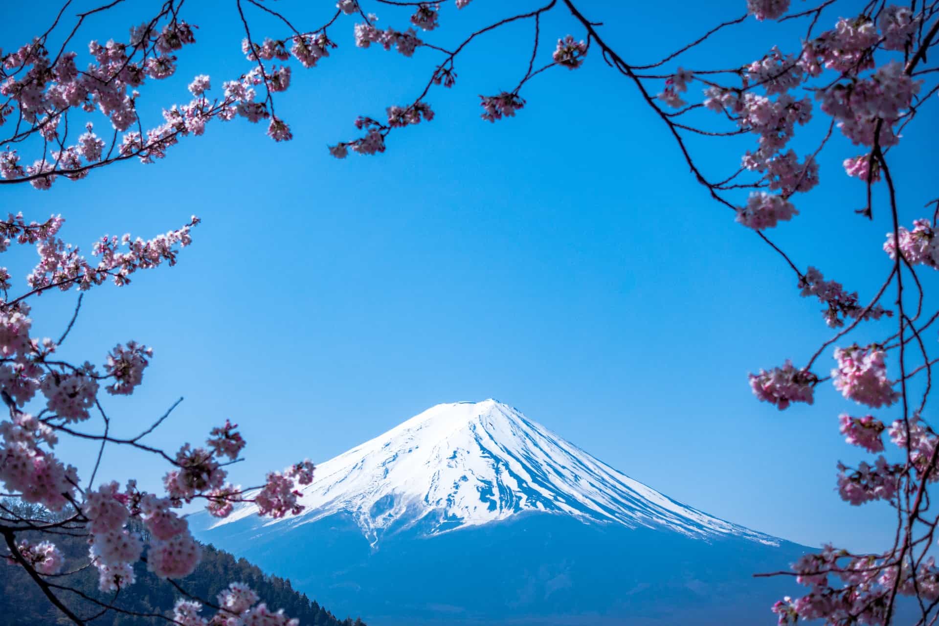 Niezwykłe chwile w Japonii. Co warto zobaczyć w kraju kwitnącej wiśni?